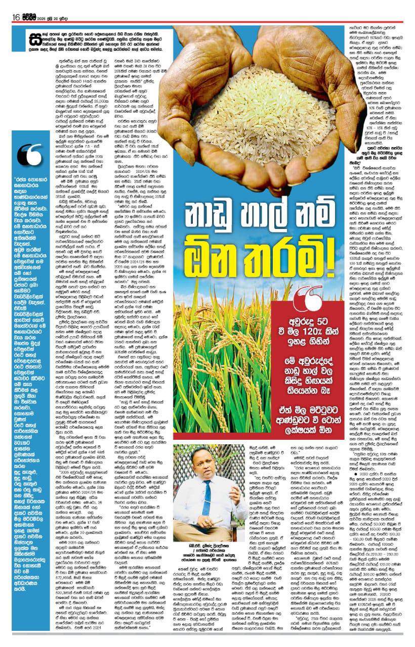 සහල් වෙළඳපොලෙහි වර්තමාන මිල හැසිරීම 